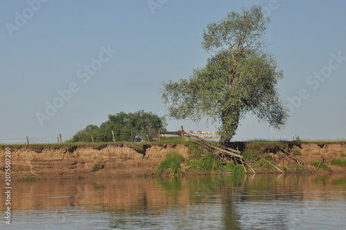 Fotografi Scenic riverbank with a tree and eroding land under a clear blue sky in nature