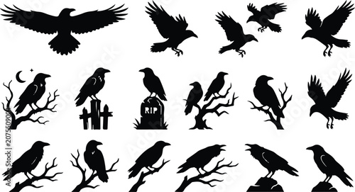 Collection of black crow silhouettes in various poses