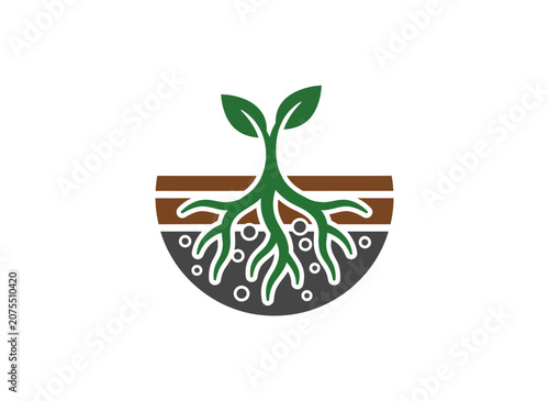 Green Sprout with Roots Growing in Underground Soil Vector