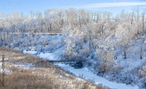 Принти на полотні Winter, hoar frost wooded area landscape featuring a small bridge over a creek,