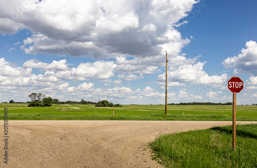 Quadro su tela Stop sign on a gravel, grid road in rural Saskatchewan, Canada.