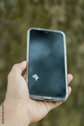 Bird dropping on a smartphone screen. Bird poop stain on dirty smartphone screen. Dirty smartphone screen with bird droppings