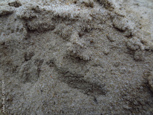 Close-up texture of wet natural sand with rough grains. Neutral abstract background for building industry materials, beach travel themes, cosmetics packaging and banners.