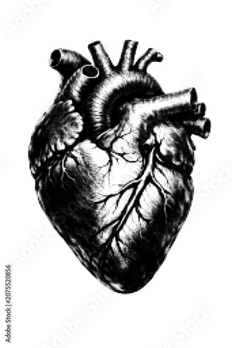 Vintage Anatomical Human Heart Vector Illustration with Retro Halftone Dotted Pattern Effect