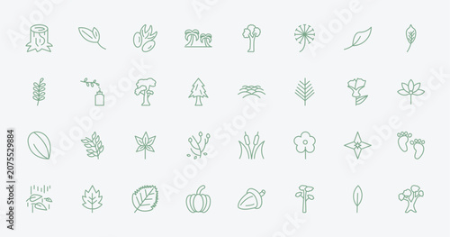 Photos outline nature icons set - trunk, lanceolate, , gemstone