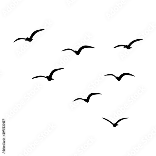 Flock of birds flying silhouettes, hand drawn doodle, vector illustration