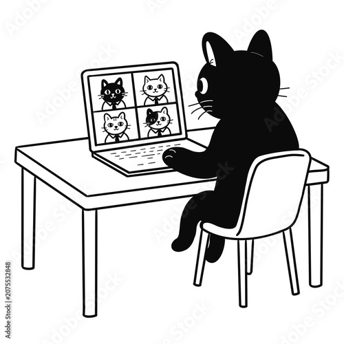 Photography cat with laptop