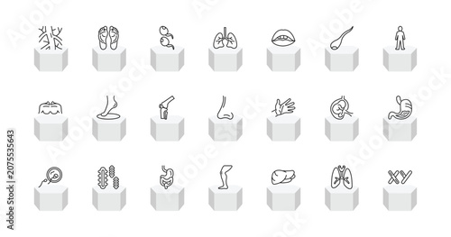 Картината върху платно outline human body parts icons set - human artery, human footprints, lungs, masculine chromosomes