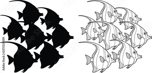 Photography Fish School Vector Illustration with Black Silhouettes and Outline Drawings of a