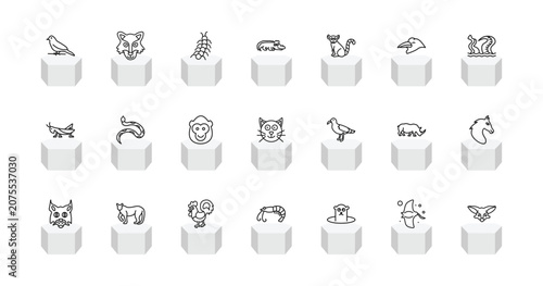 Photography outline animals icons set - canary, wolf, crocodile, fennec fox