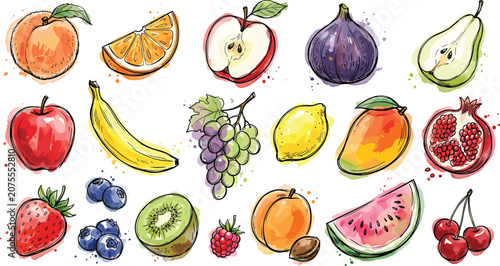Quadro em tela Beautiful watercolor fruit vector illustration set featuring colorful hand drawn