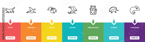 Photography outline animals icons set - kitten, albatross, angler, chameleon