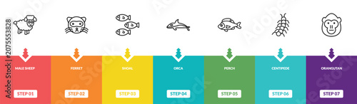 Photography outline animals icons set - male sheep, ferret, shoal, orangutan