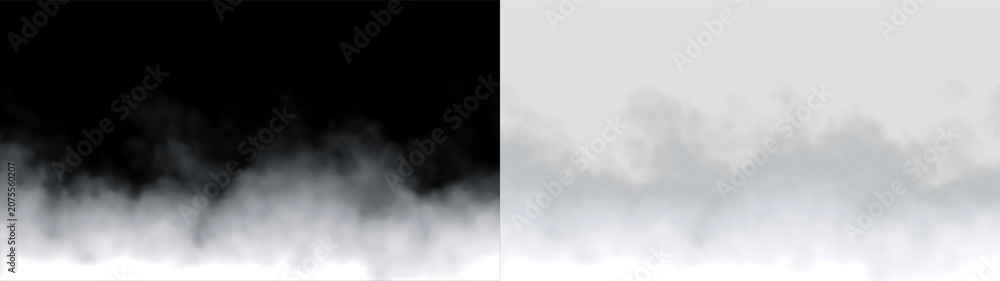 Fototapeta premium Soft fog covers ground in early morning light in a natural setting on a transparent background