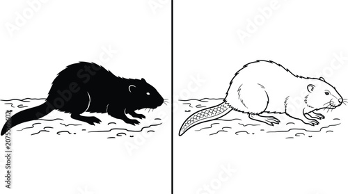 Canvastavla Beaver Hand-Drawn Illustration Set with Black Silhouette and Outline Graphic for Wildlife Concept Design
