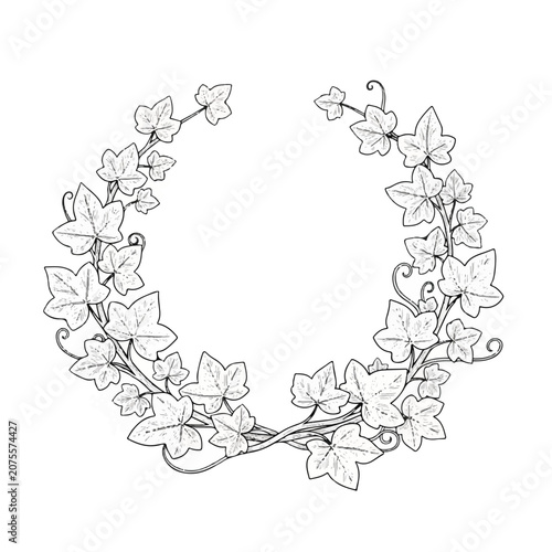 Vine leaves forming circular decorative border.