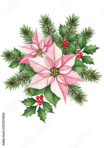 highly detailed watercolor illustration of a traditional christmas bouquet with pink poinsettia flowers, emerald pine, and holly berries against a transparent background. Elegant festive art concept