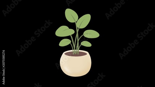 2D Animated Potted Plant with Green Leaves for Wellness Themes