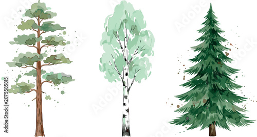Bild auf Leinwand Watercolor Style Green Forest Trees Vector Icon Set Featuring Pine Birch and Spr