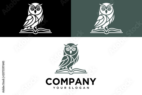 Classic wise owl standing on open book logo template