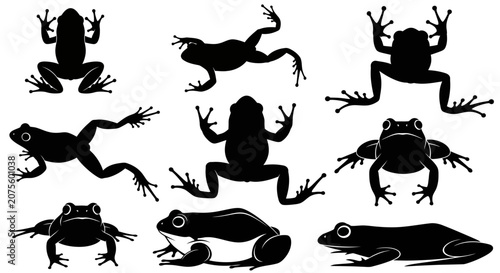 Billede på lærred Black frog silhouettes, amphibian icons, vector frogs, animal graphics, wildlife