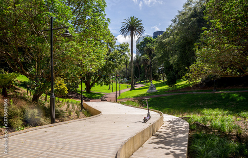 Curved wooden boardwalk pathway through Myers Park with palm trees, Auckland, New Zealand, 1 January 2024