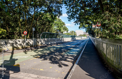 Covered green cycle path through dense tree tunnel, Auckland, New Zealand, 1 January 2024