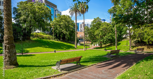 Sunny Myers Park landscape with palm trees benches and city skyline, Auckland, New Zealand, 1 January 2024
