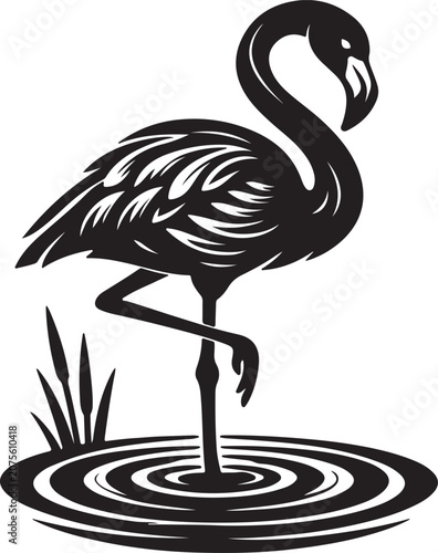 Elegant Flamingo Standing In Water Ripple