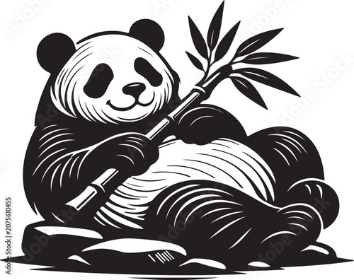 Giant Panda Bear Eating Bamboo Branch