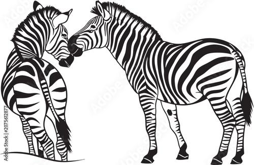 silhouette of a zebra