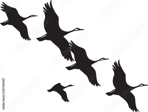 set of silhouettes of birds