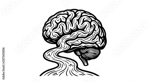 Tableau sur toile Abstract Brain Flow with Cerebellum on White Background