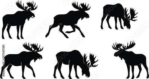 Canvas Print Set of black moose silhouettes icons in different poses including standing runni