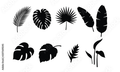 Tropical Leaf Silhouette Set Exotic Botanical Foliage Vector Collection