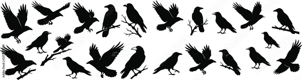 Fototapeta premium Halloween vector bundle black crow silhouettes for spooky designs