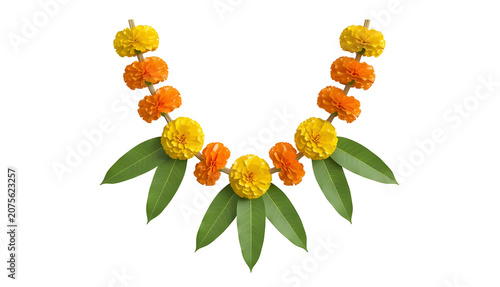 Isolated Marigold Flowers with Green Leaves