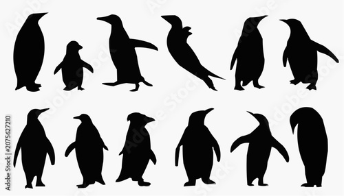 penguin silhouettes vector