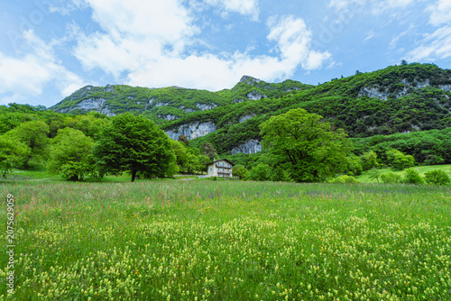 Fotografi The view of Lake Tenno, a splendid alpine lake nestled between mountains and woo