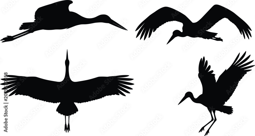 Fototapeta premium Flying crane and stork silhouette vector bundle featuring large migratory wading birds soaring gliding in active flight