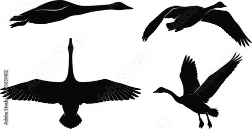 Obraz na plátne Flying wild goose silhouette vector collection featuring migratory birds swan an