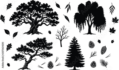 Photos Deciduous and Evergreen Tree Silhouette Vector Set Featuring Oak Pine Willow and