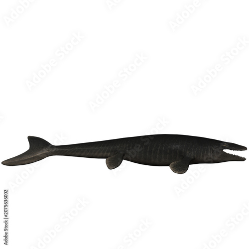 Bild auf Leinwand Mosasaurus Saurian Marine Predator