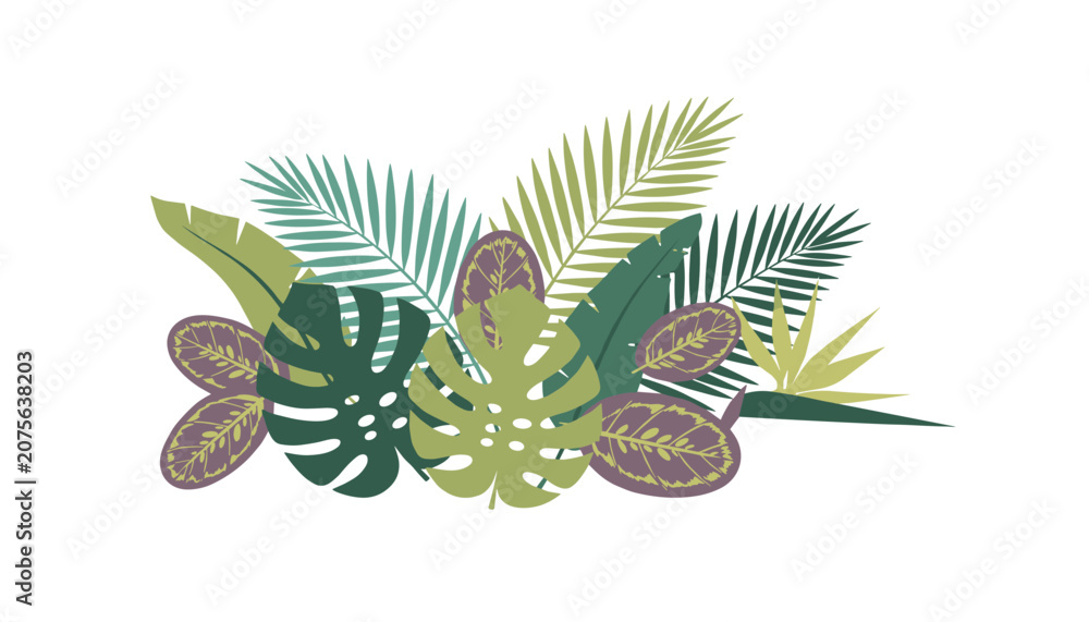 Obraz premium Arrangement of various tropical leaves in different shades of green, showcasing natural botanical beauty and an exotic aesthetic.