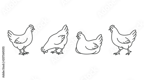Minimalist Line Art Chickens Set: Various Poses on White Background