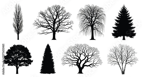 Canvastavla Collection Of Black Silhouette Tree Shapes Against White Background