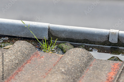 фотографія rain_gutter