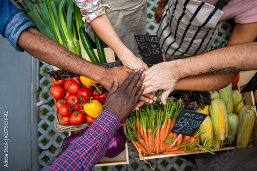 фотографія Diverse hands unite over produce
