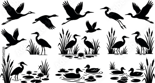 Black silhouette illustrations of herons, ducks, and water plants on white background, nature wildlife scene with flying and standing birds, aquatic vegetation, water lilies and cattails