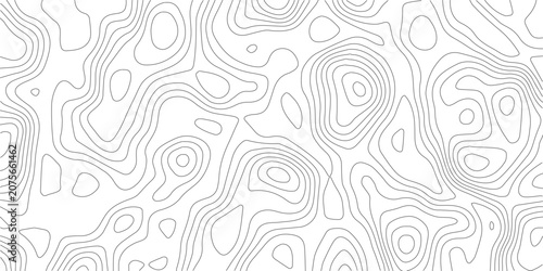 Fotografie Black and white abstract topography map texture with wavy contour lines pattern